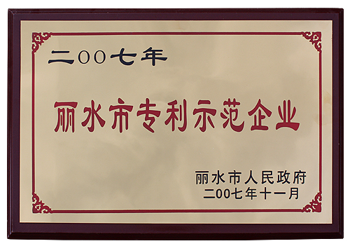 麗水市專(zhuān)利示范企業(yè)